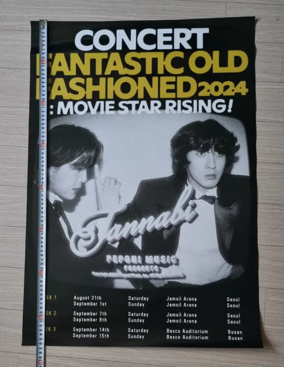 Jannabi concert poster