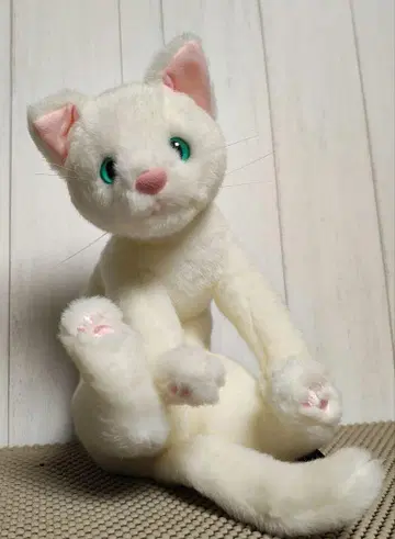 Cuddly 카두리 고양이 봉제 인형 고양이 미스치프 츠루마루