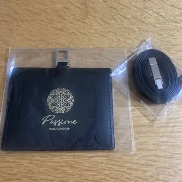 죠죠 부챠라티 패스 케이스