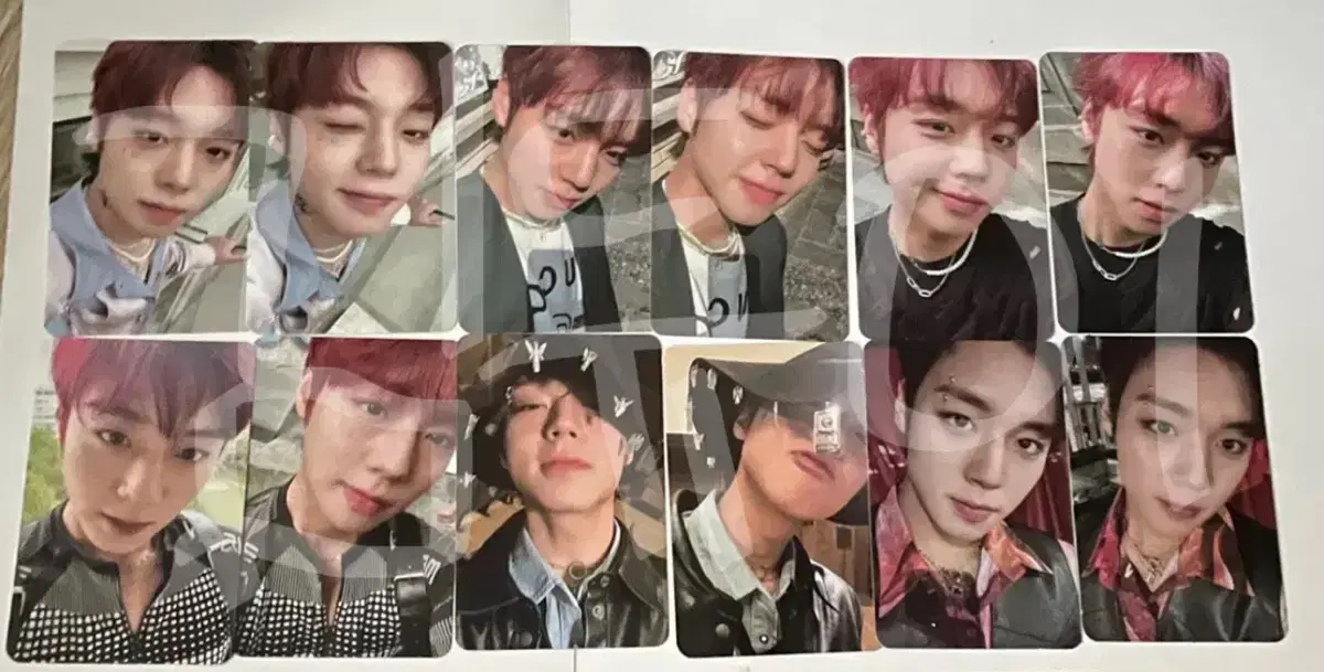 박지훈 나이트로 앨범 포카 12장 일괄