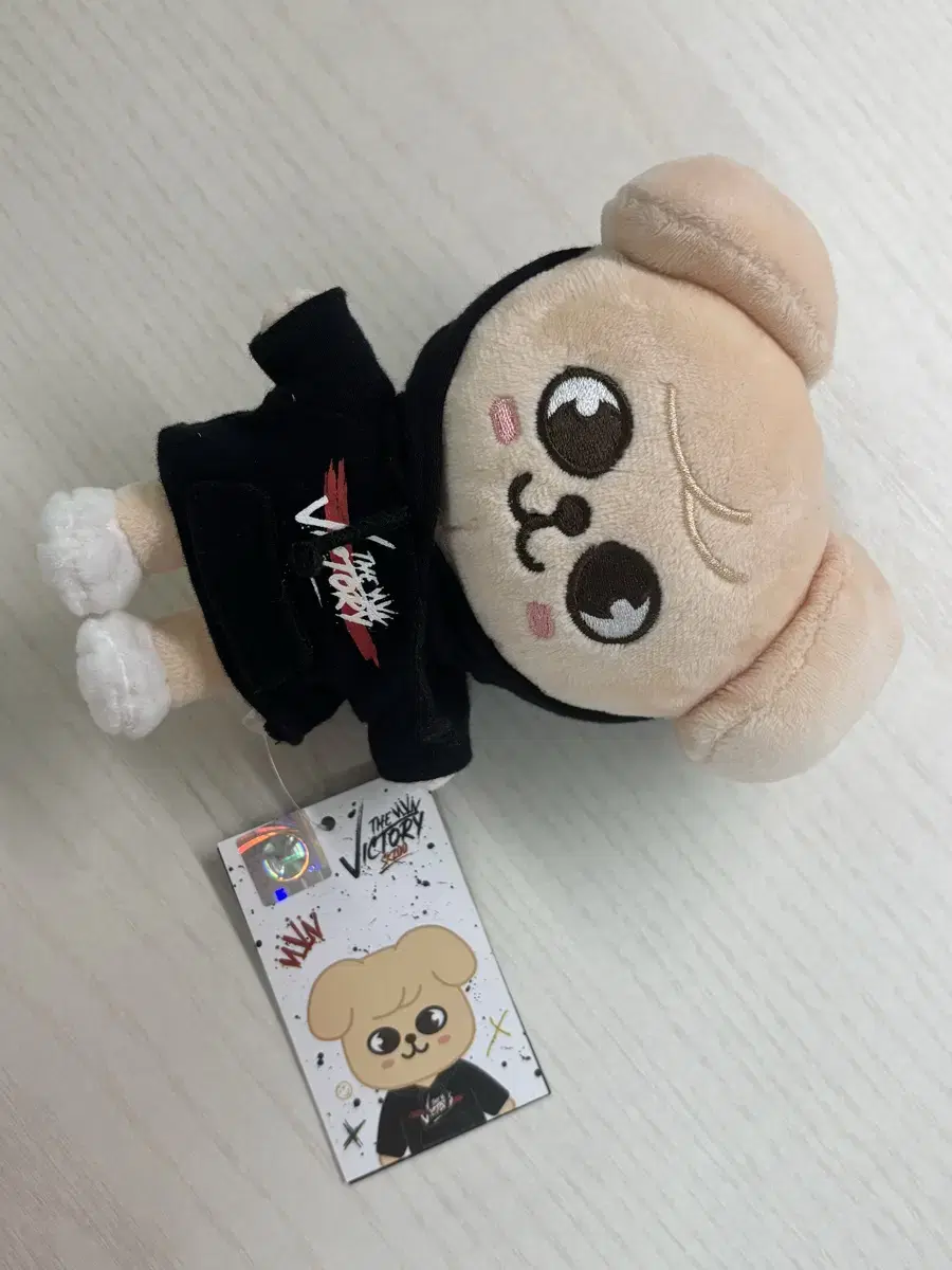 미니 퍼핌 승민 스트레이키즈 인형 스키주 양도
