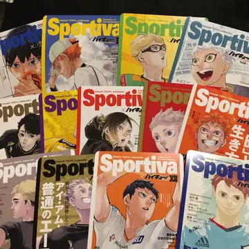 하이큐 쇼세츠반 비주얼 보드 혜택 전권 세트 애니메이트