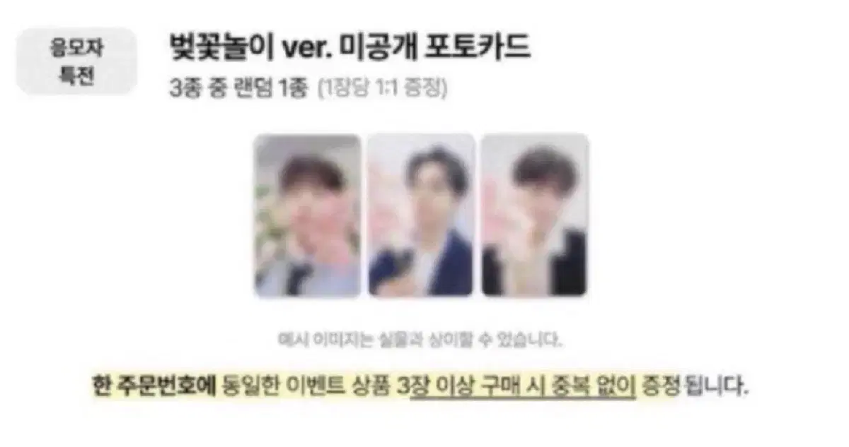 루시 음감회 디마뮤 벚꽃놀이 포카 미공포 분철