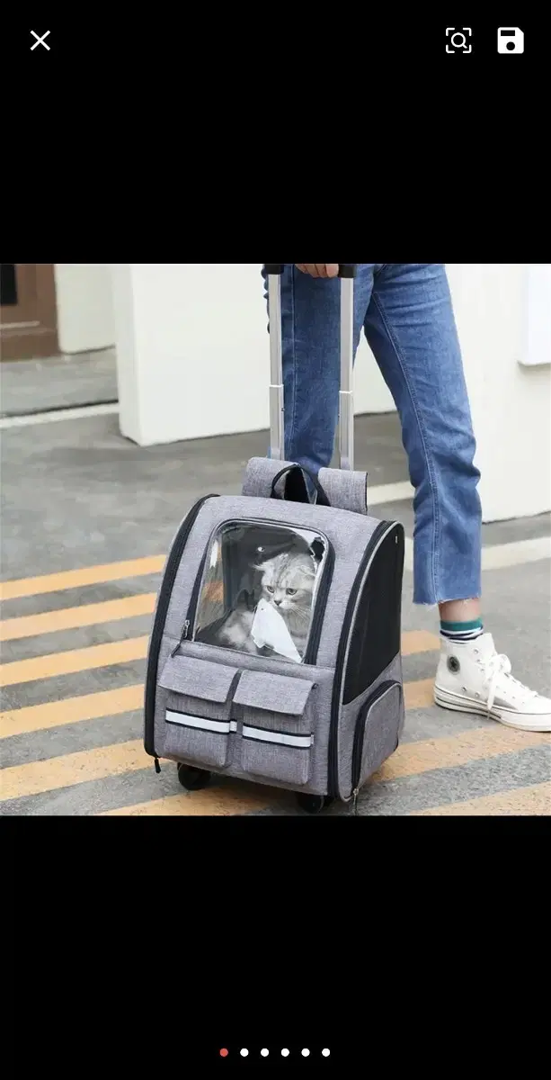 강아지및고양이케리어