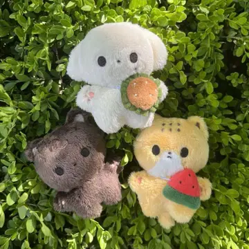 NCT 마크 정우 10cm 봉제 인형 세트 묶음 판매