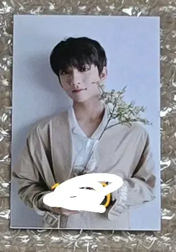세븐틴 조슈아 어쩌나 공방포카 양도