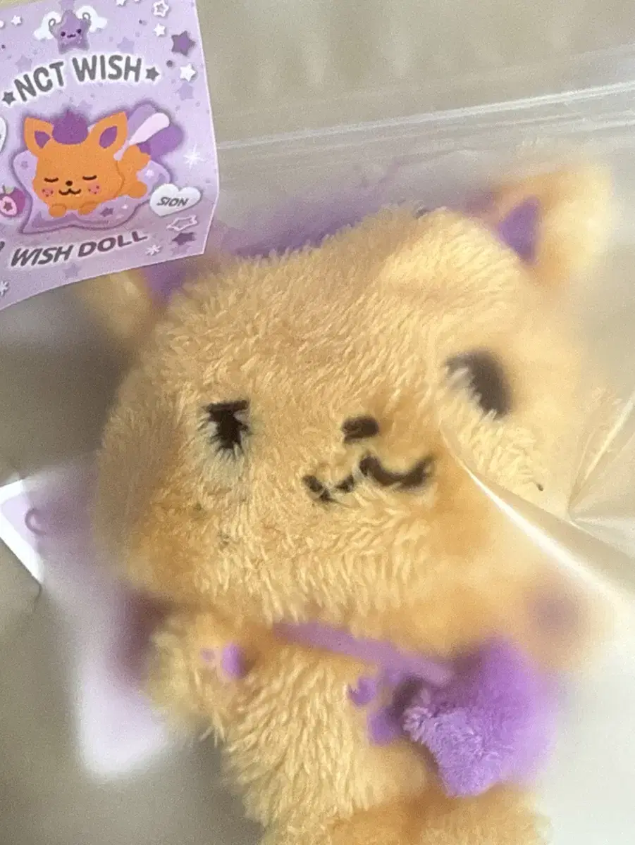 미개봉 엔시티위시 시온 시오닝 인형 양도