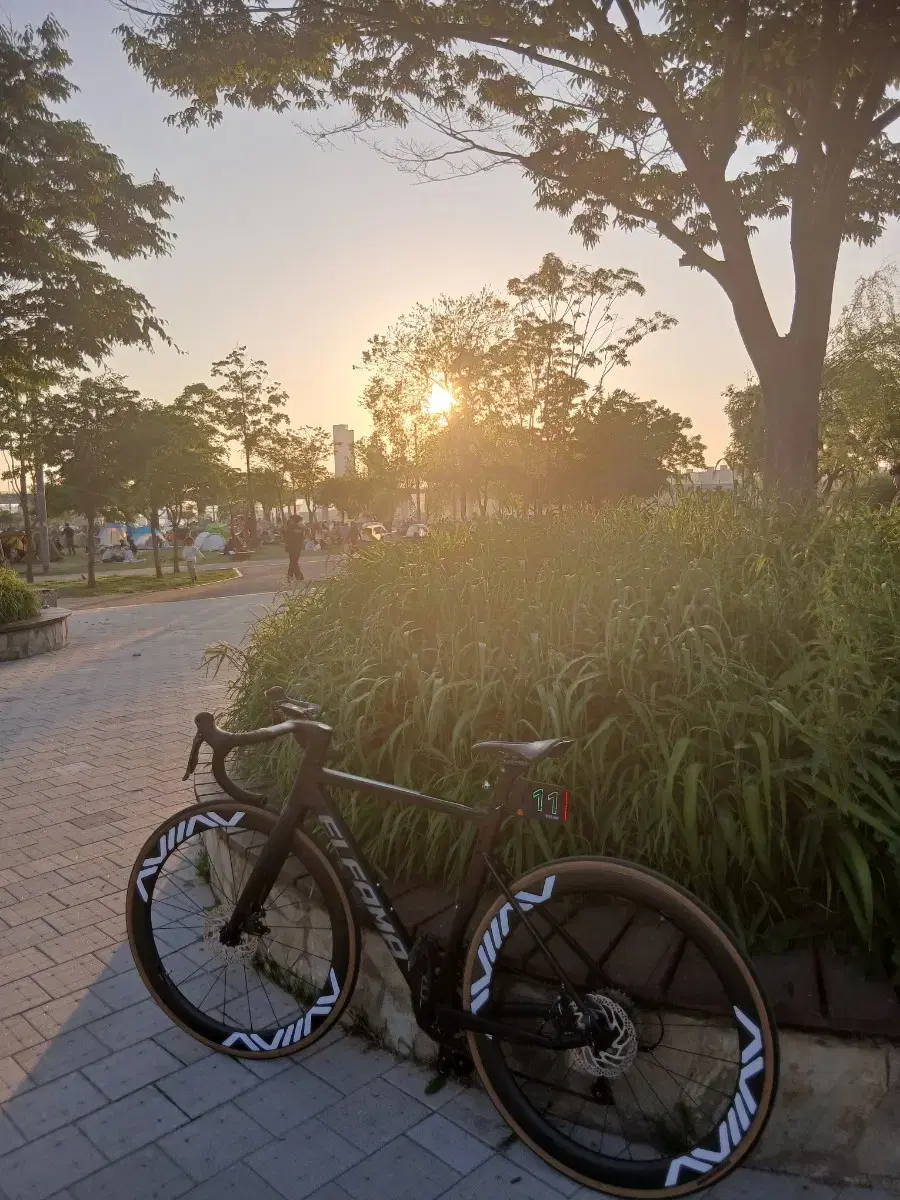 엘파마,카본휠 (무하자)