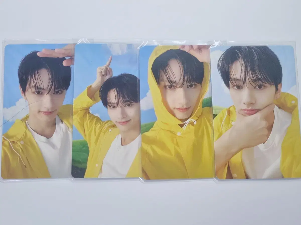 세븐틴 헤븐 준 캐럿반 풀구성 판매 | 랜포 랜덤포카