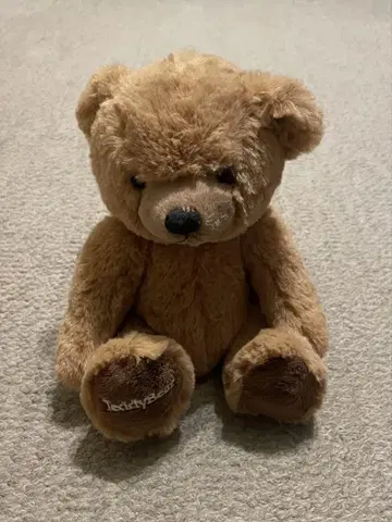 테디 베어 곰 봉제 인형