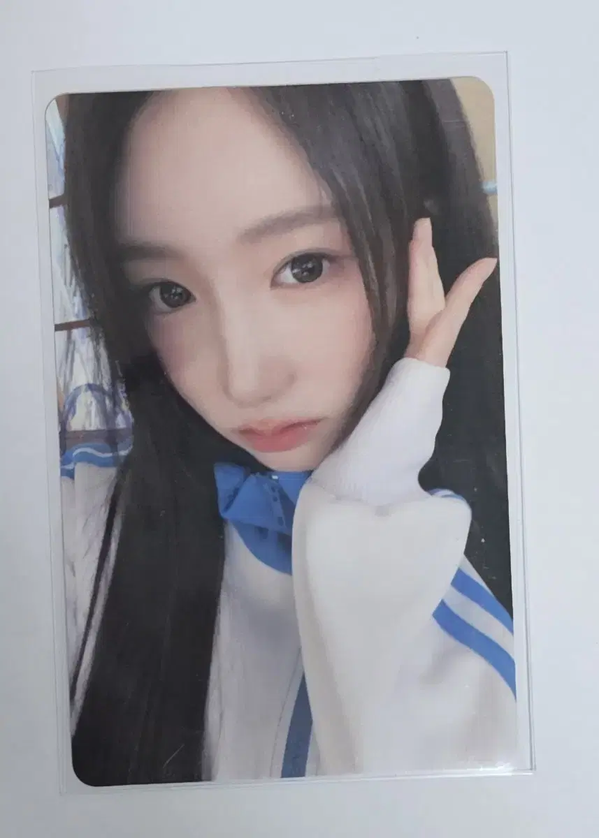 세이마이네임 메이 공방포카 ShaLala SMN