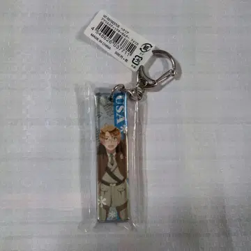 헤타리아 미국 스틱 키링