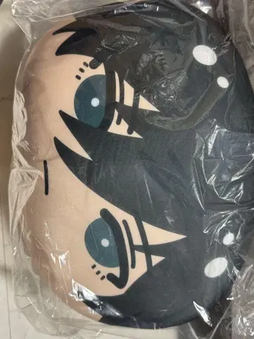 블루 록 린 빅 만주 쿠션 블루 록
