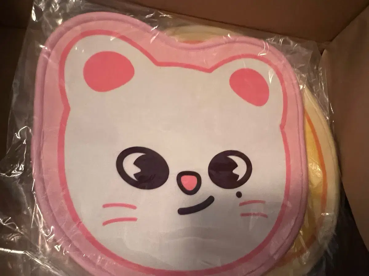 스키주 미니카펫 지니렛 스트레이키즈