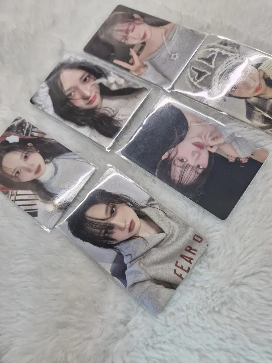 아이브엠파시포카세트원영레이가을앨포md위드뮤스스퀘앺뮤