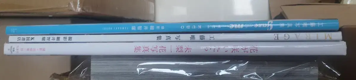 일본,사진집,쿠도 유이,하나이 미리