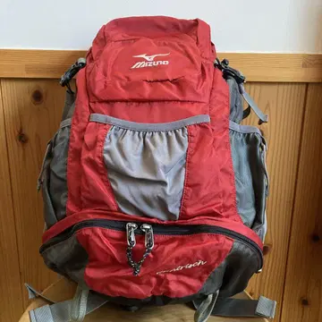 MIZUNO GANTRISCH 백팩