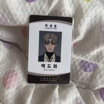 작전명은 순정 백곡 영오
