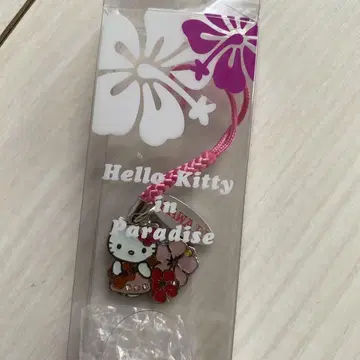 키티 하와이