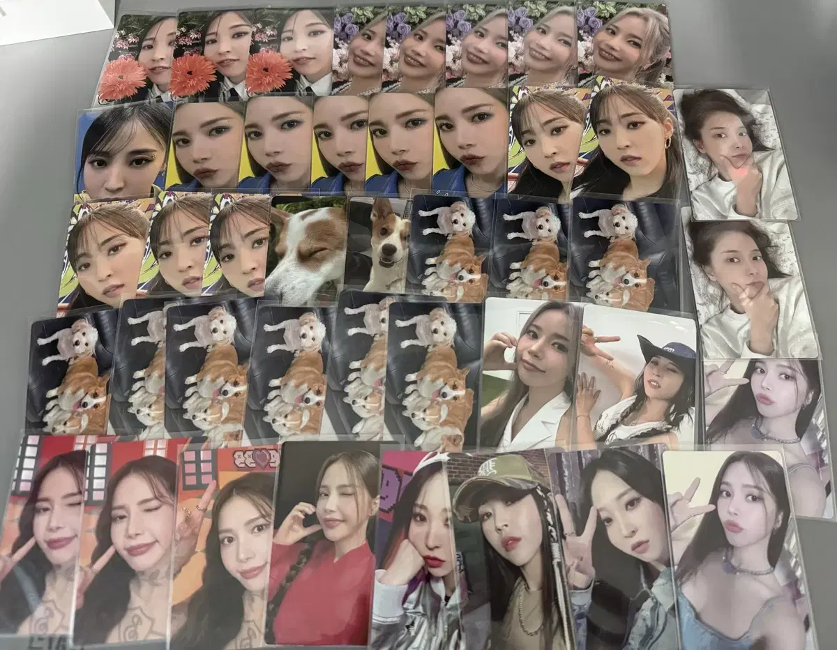 (43장) 마마무 플러스 솔라 문별 포카