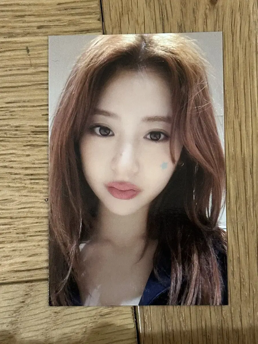 르세라핌 콘서트 피어나존 포카 허윤진 양도