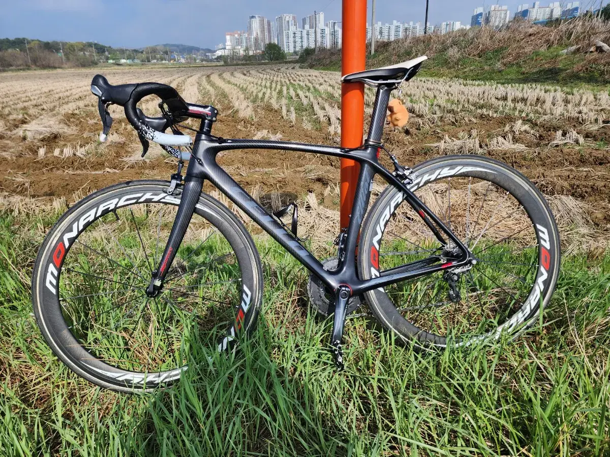 [Sell] Cello Ellyot cignature Road/Rental/Ultegra/Carbon Wheels/54