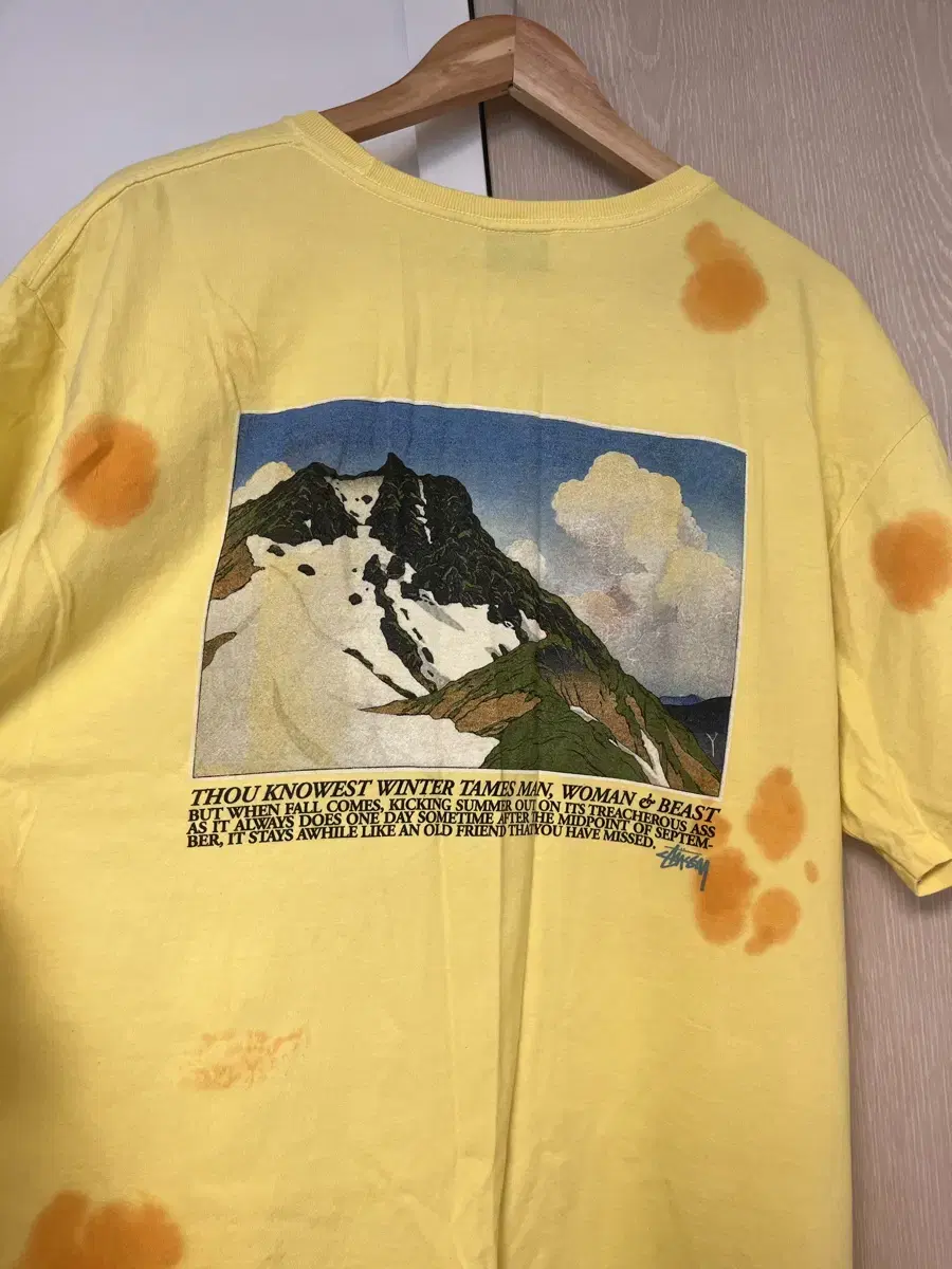 Stussy Graphic Vahn Short Sleeve
