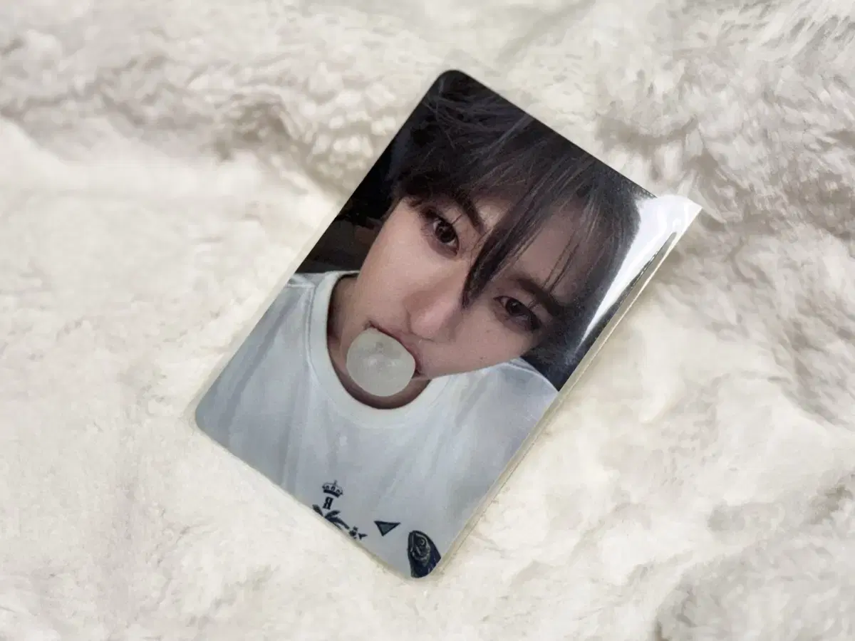엔시티 위시 시온 팝팝 팝츄 포카