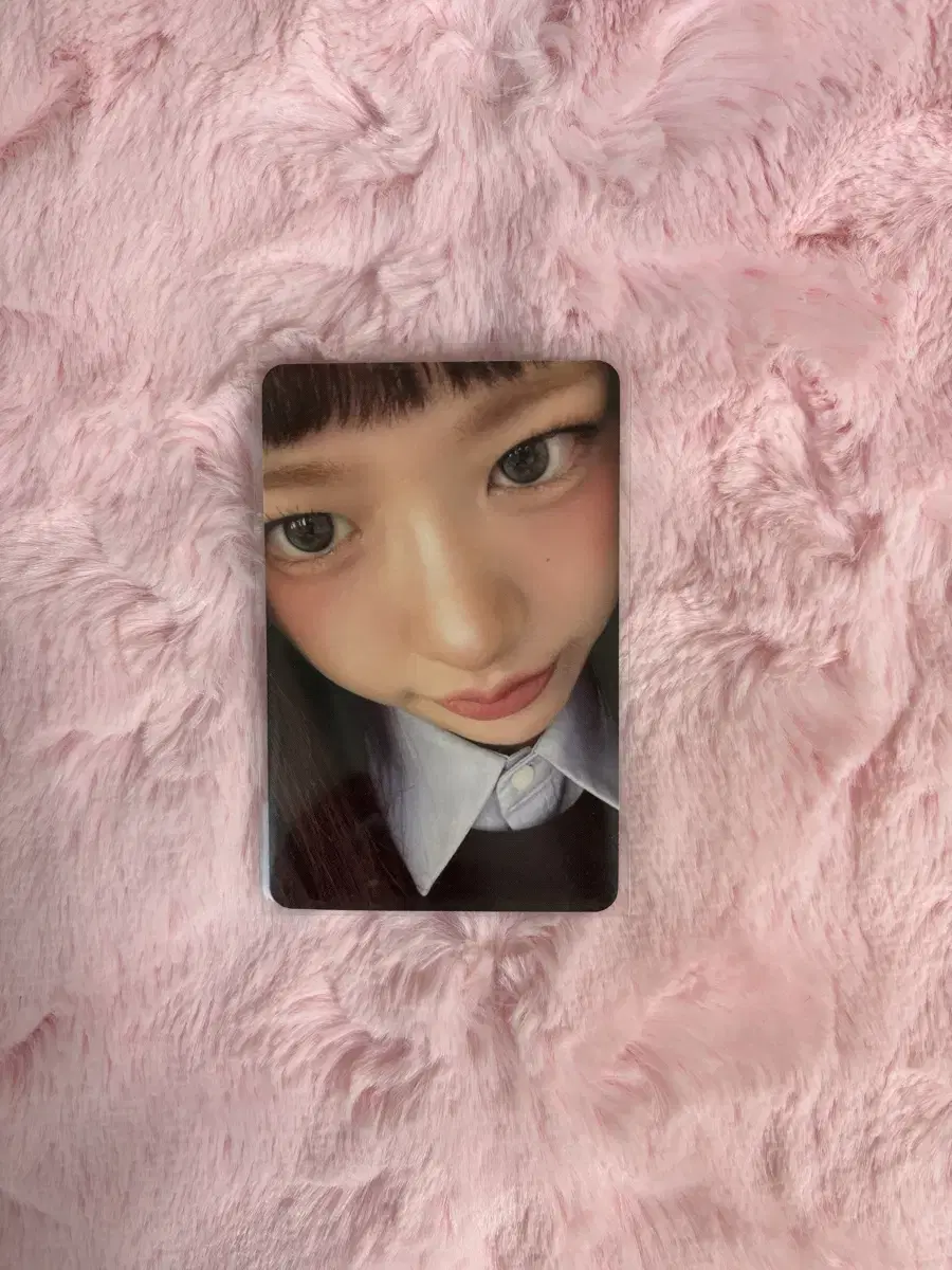 아이브 엠파시 애플뮤직 유진포카 양도