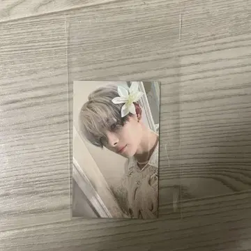 orangeblood enhypen 유니버셜 라키드로 니키