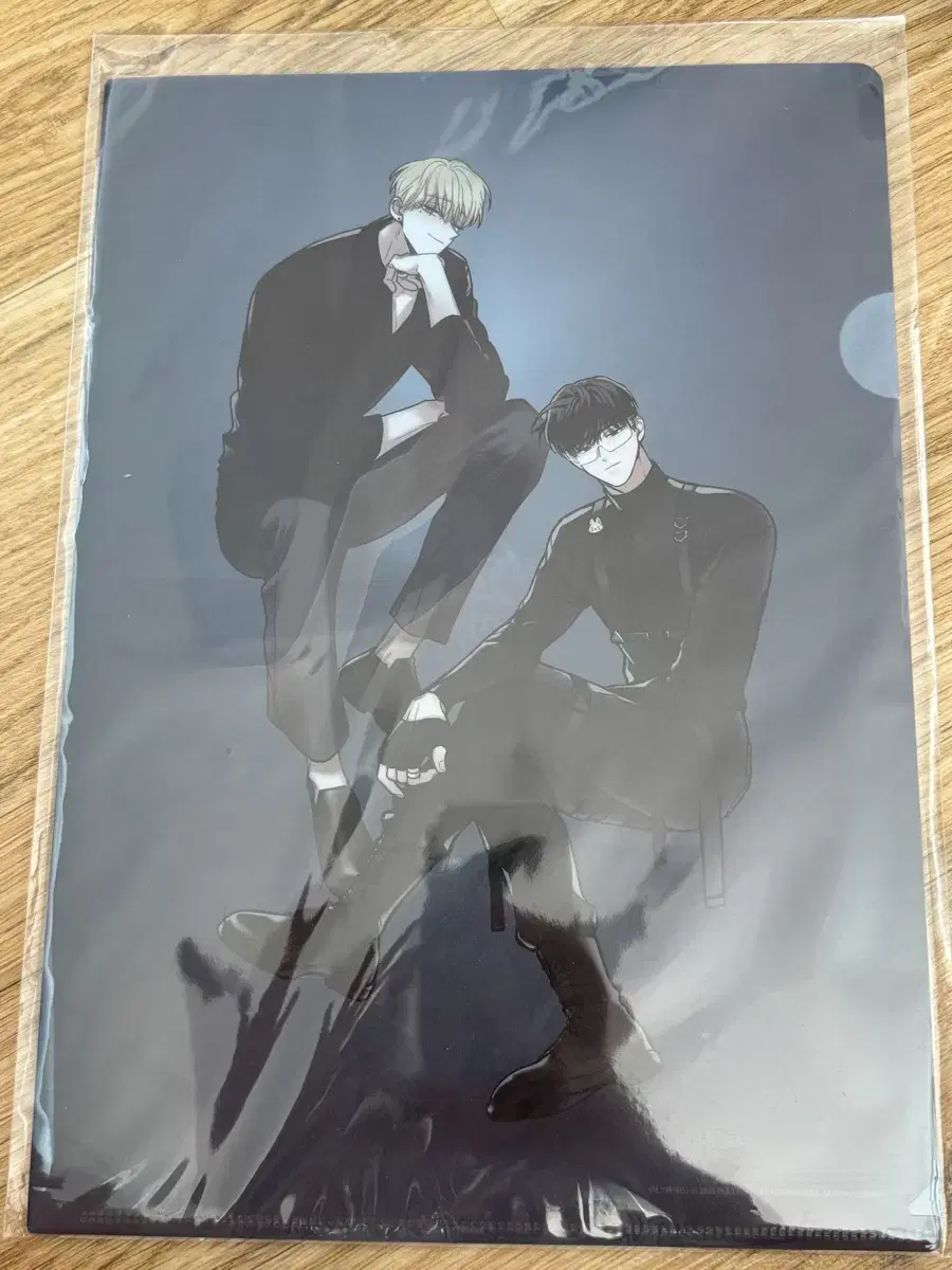 Wts Checkmate Black Cat Power Clear File.