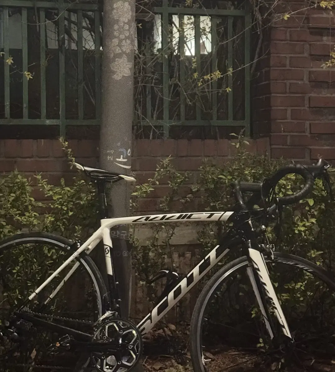 Scott Edict RC30 Full Carbon Road Bike for sale/rent