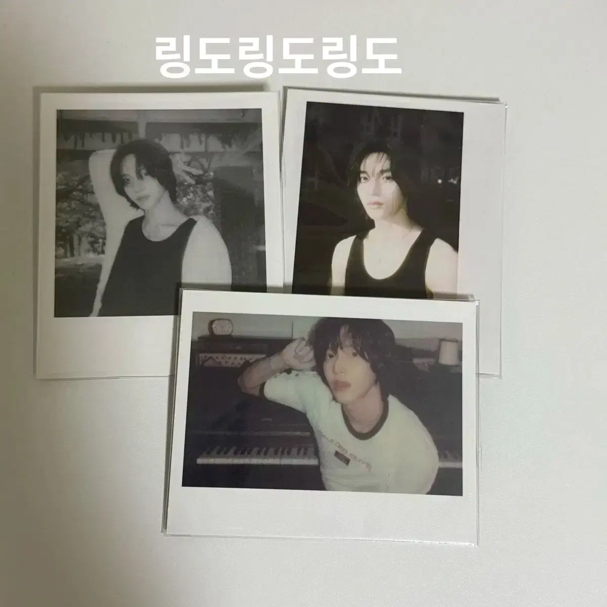 라이즈 원빈 폴라 일괄 양도