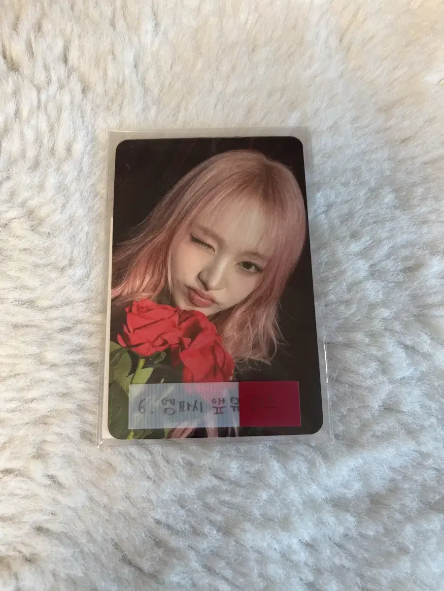아이브 엠파시 애플뮤직 리즈 포카
