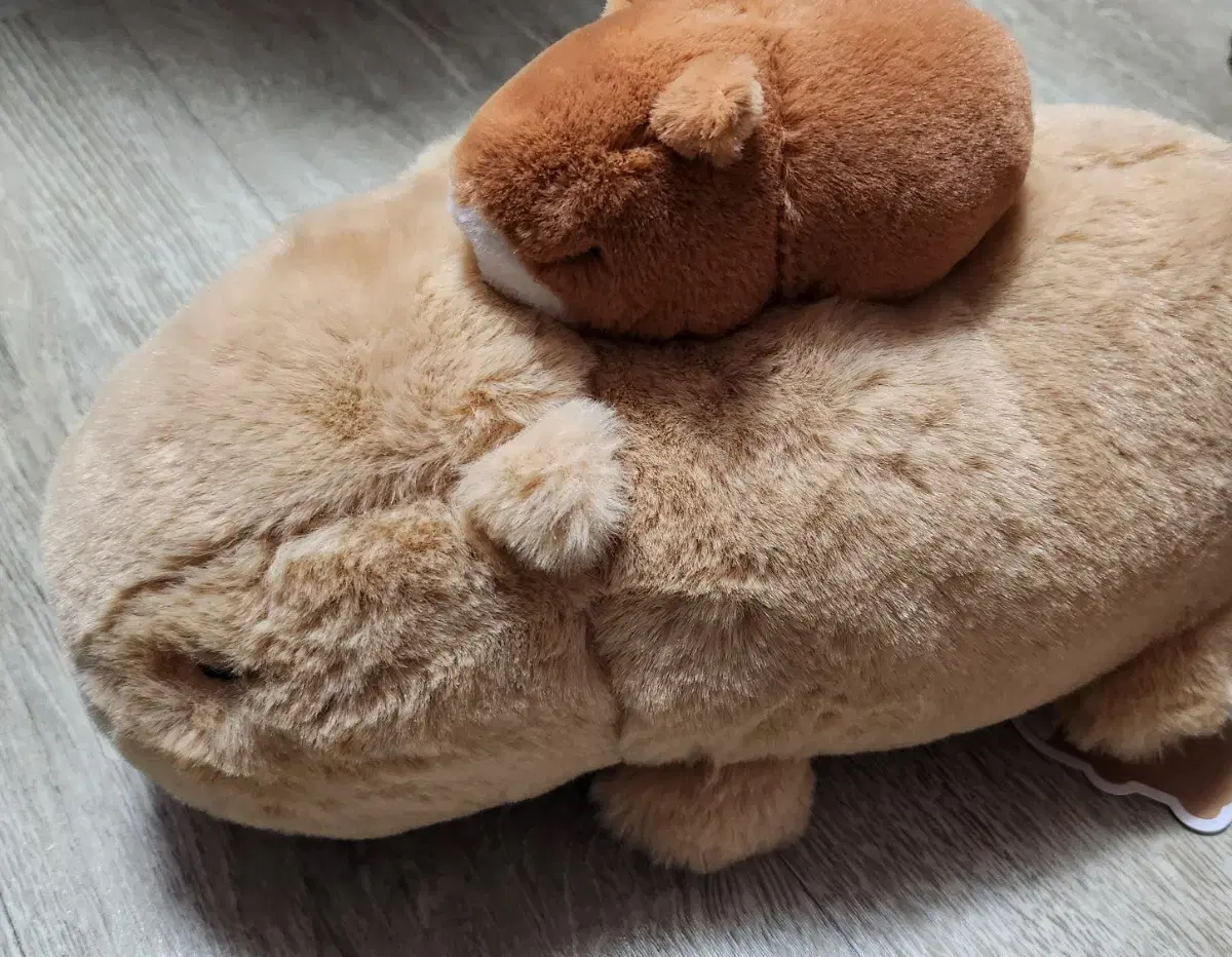 Capybara Capybara Medium Doll