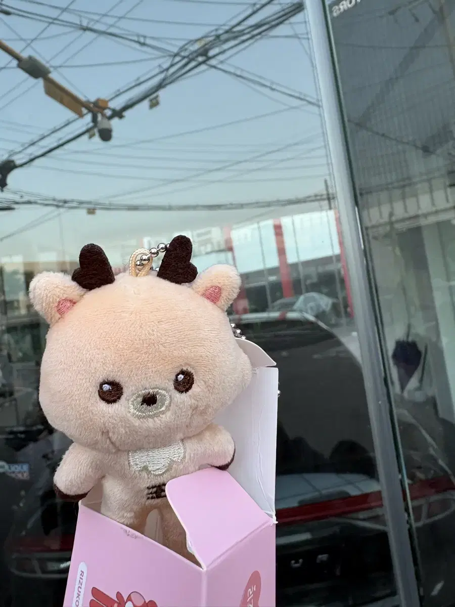 라이즈 팝업 우락밤 성찬 원가양도