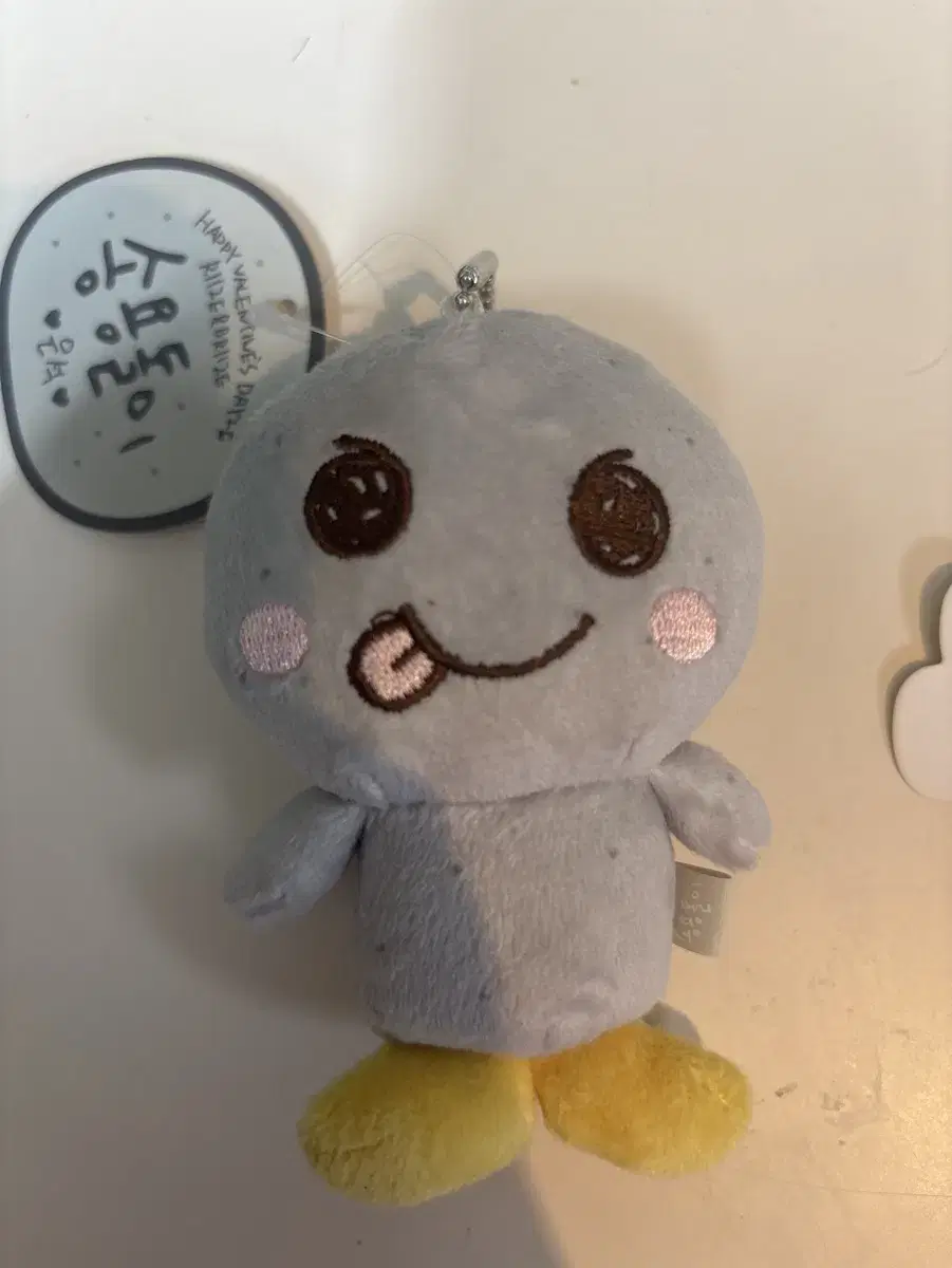 송용돌이 10cm