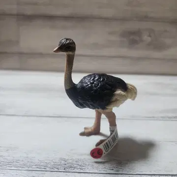 가격 인하 슐라이히 피규어 타조 자택 보관품