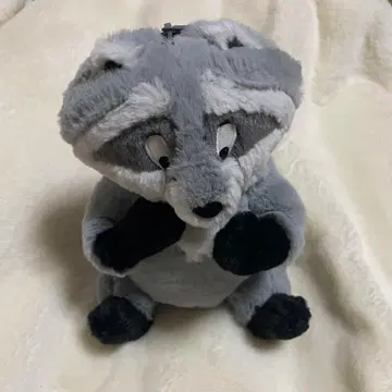 포카혼타스 미코 귀여운 파우치