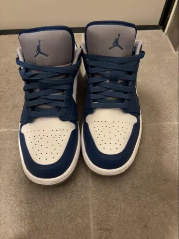 Air Jordan 로우 컷 스니커즈 파랑/화이트/그레이