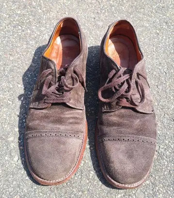 Alden 알든 CAP Toe OX 379x 스웨이드 신발