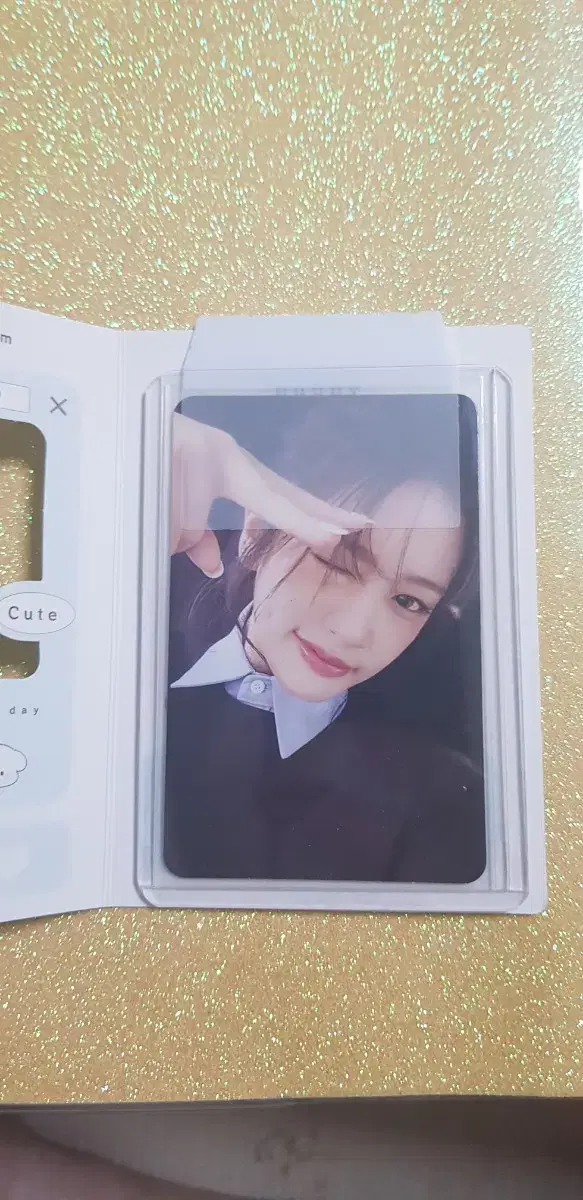 디지팩 유진 앨포
