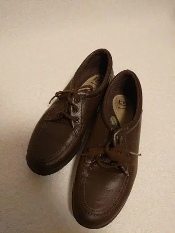 문스타 이브 23cm