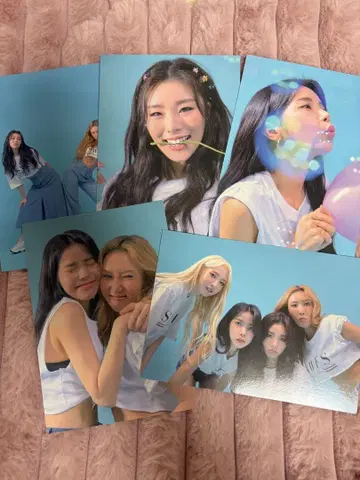 MAMAMOO 4season 대구 공연 엽서