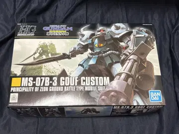 HG 1/144 구프 커스텀
