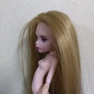 몬스터 하이 커스텀 인형