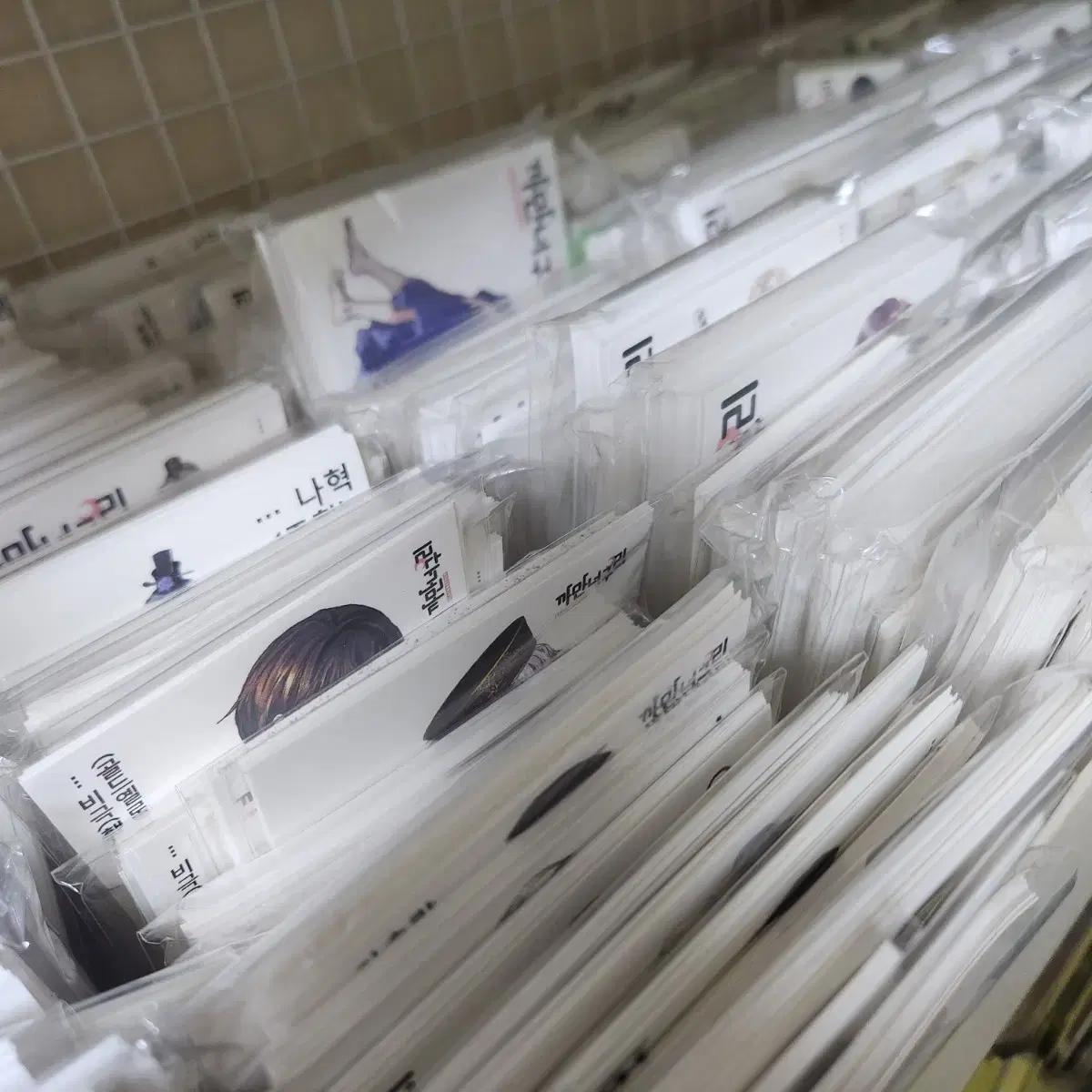 500장 까만너구리믹스 인물인스처분 다꾸처분