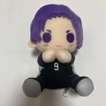 피타누이 미카게 레오 블루 록
