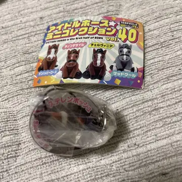 스텔렌보스 아이돌 호스 미니 컬렉션