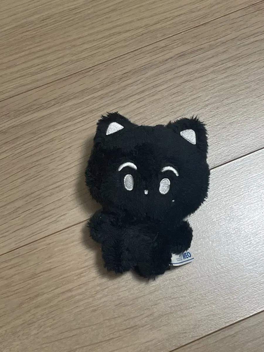 mark Doll